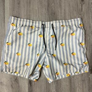 American Eagle Outfitters Blue Striped Swim Trunks with Lemon Print